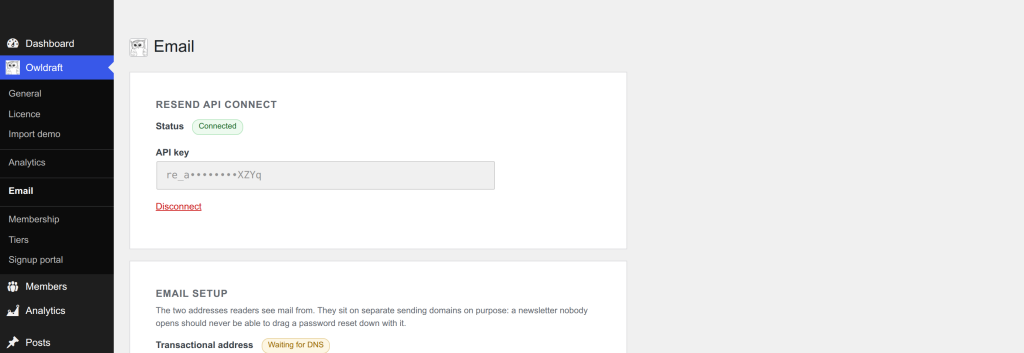 The Email screen showing Resend connected with a single API key